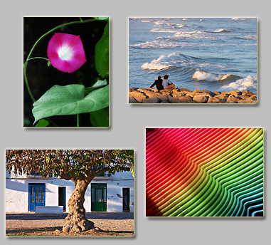 thumbnails of the puzzles Puzzles: Looking waves, Fuchsia, Color tones and Tree on a street (81-82)