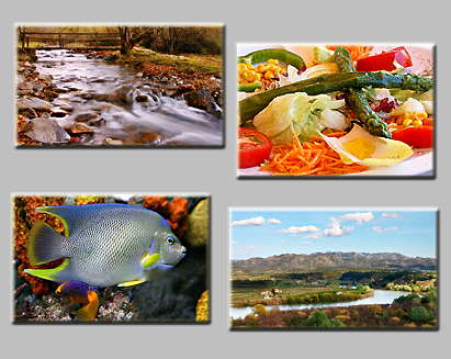 thumbnails of the puzzles Puzzles: Bridge, River, Fish and Salad