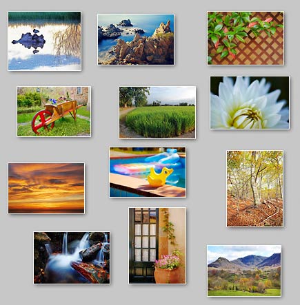 thumbnails of the puzzles Puzzles: Palm trees on the horizon, Duck in pond, Red dawn, Delicate, Rubber duck, Door and flowers, Rocks in the sea, Cow, Intertwined branches, Meeting point, Wheelbarrow, Lattice