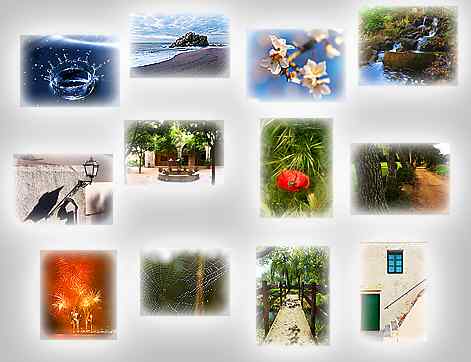 thumbnails of the puzzles Puzzles: Splash, Stone in sea, Almond flowers, Facade, Fountain, Path, Poppy and ear, Shade of lamp, Streams, To the willow, Web and deb, Fireworks