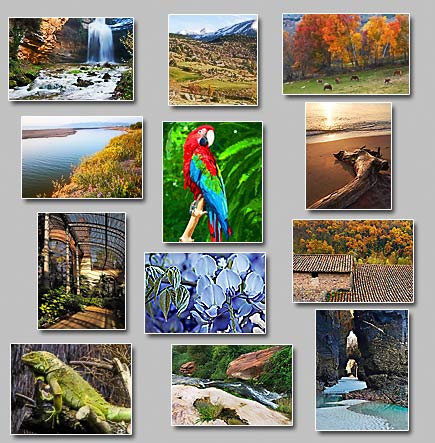 thumbnails of the puzzles Puzzles: Brook, Arches, Trunk at shore, Calm water, Blue world, Warm days coming, Tiled roof, Dreamy waterfall, Half light, Iguana, Grazing in fall, Painted parrot