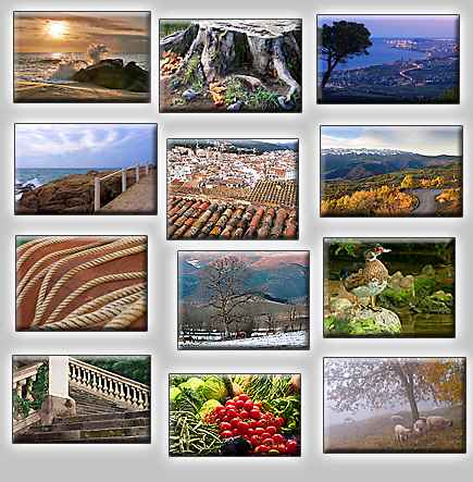 thumbnails of the puzzles Puzzles: Stone stairs, Road in mountains, Sheeps in haze, Cold trunk, Sunsea, Handrail, CIty at night (Barcelona), Ropes, Duck in stone, Three horses, Roofs, Vegetables