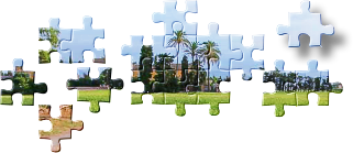 Jigsaw puzzle pieces (real sample)