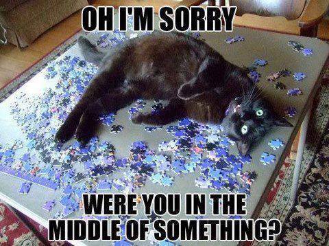 Can you be more interested in this jigsaw puzzle than in me? :)