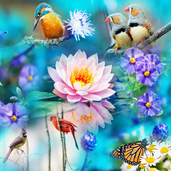 Collage made with some of the images of the new pack Flying and Flowers 1