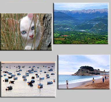 thumbnails of the puzzles Puzzles: Horse grazing, Boats at sunset, Valley on pirinees and Kids playing in a beach (Tossa de Mar)