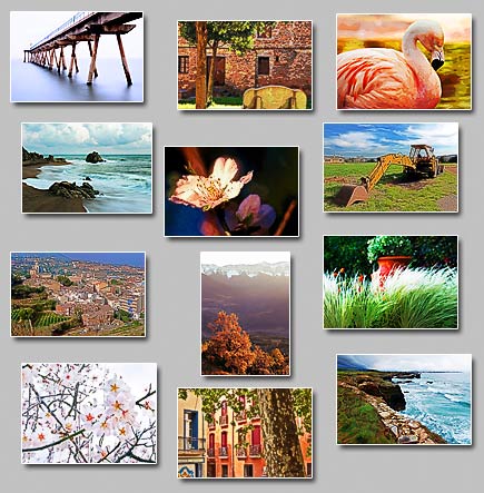 thumbnails of the puzzles Puzzles: Pantalan, Old wall, Feathers, Digger, Edge, Marine, Color street, Shy bird, Vilassar, Purple scape, Painted flower, White spring