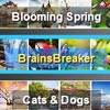 Announcing the new version 5.8 of BrainsBreaker jigsaw puzzles