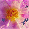 Download this free jigsaw puzzle and make it with the shape and number of pieces of your choice